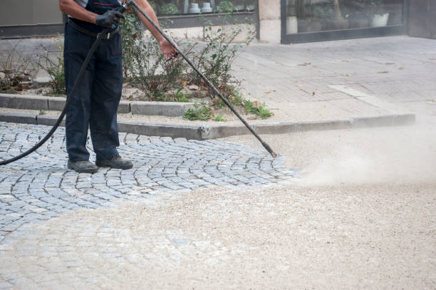 Best Driveway Cleaning and Restoration in Shoemakersville, PA